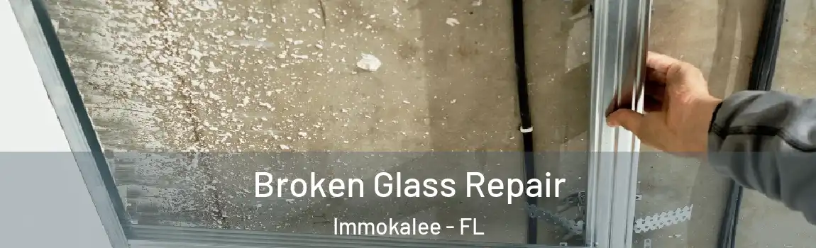  Broken Glass Repair Immokalee - FL