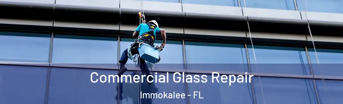  Commercial Glass Repair Immokalee - FL