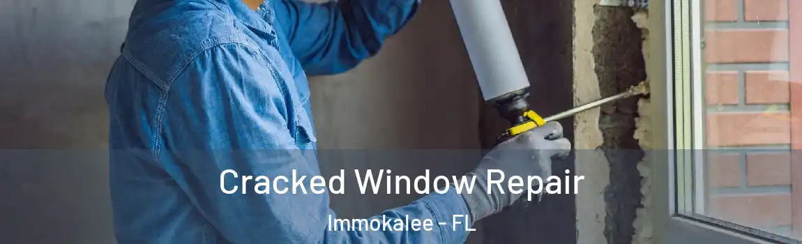  Cracked Window Repair Immokalee - FL