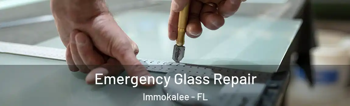  Emergency Glass Repair Immokalee - FL