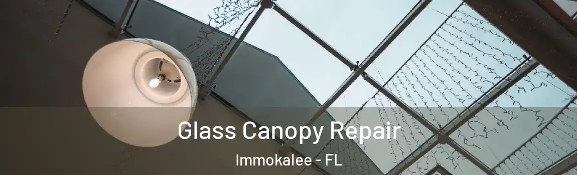  Glass Canopy Repair Immokalee - FL