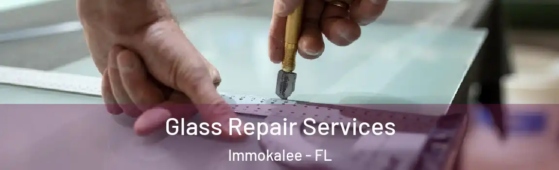 Glass Repair Services Immokalee - FL