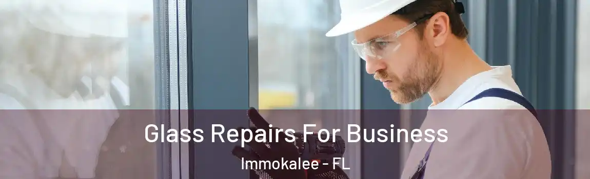  Glass Repairs For Business Immokalee - FL