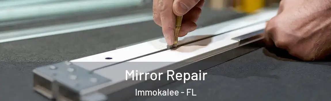 Mirror Repair Immokalee - FL