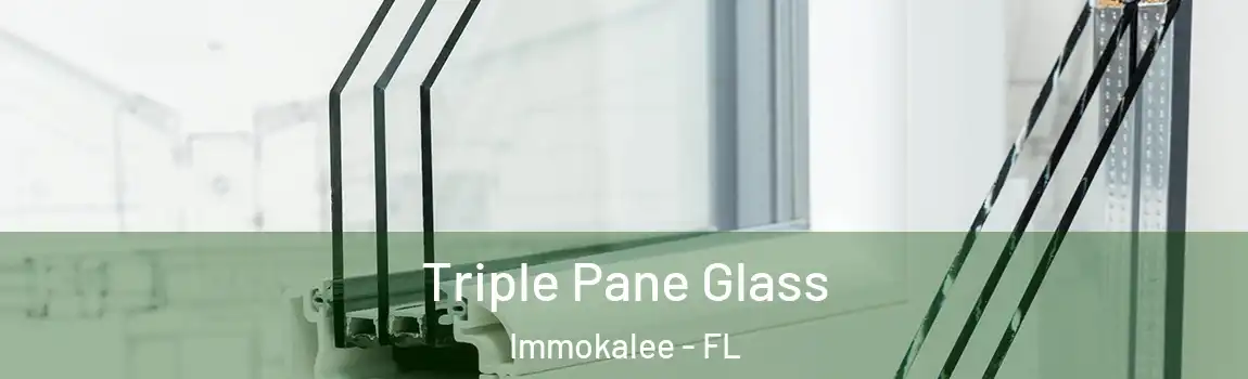  Triple Pane Glass Immokalee - FL