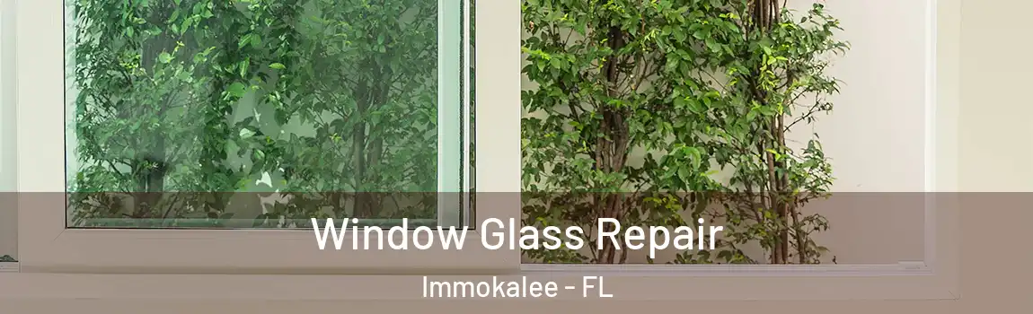 Window Glass Repair Immokalee - FL