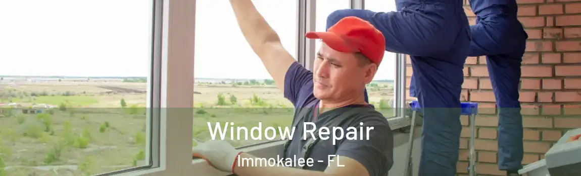  Window Repair Immokalee - FL