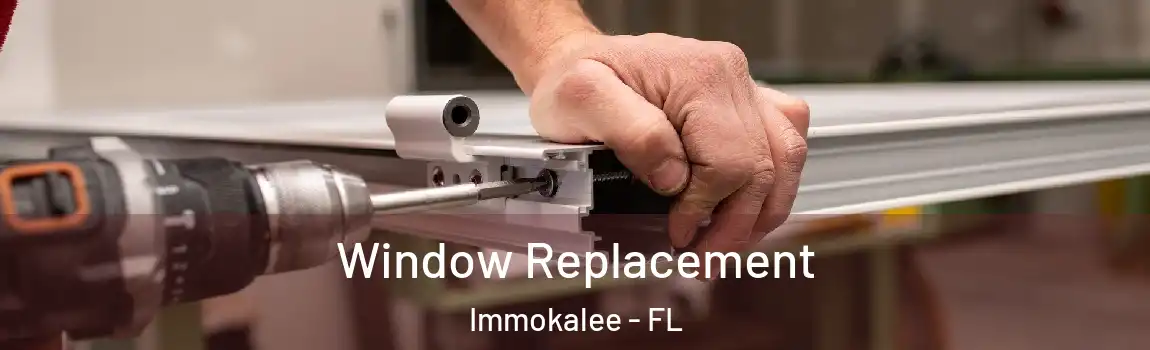  Window Replacement Immokalee - FL