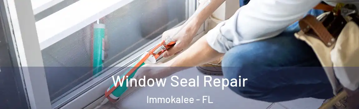  Window Seal Repair Immokalee - FL
